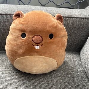 Groundhog squishmallow